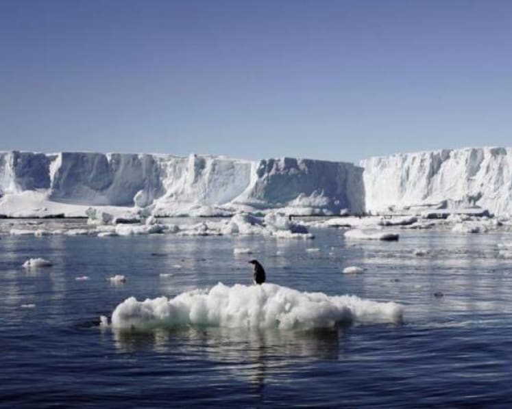 Don’t let climate change melt away your investments