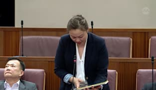 Debate on President’s speech: Diana Pang apologises for using inappropriate phrase
