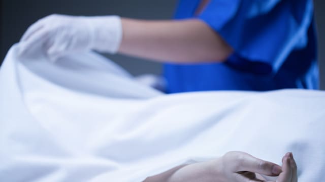 马国吉隆坡机场豪华轿车区 惊见腐烂女尸