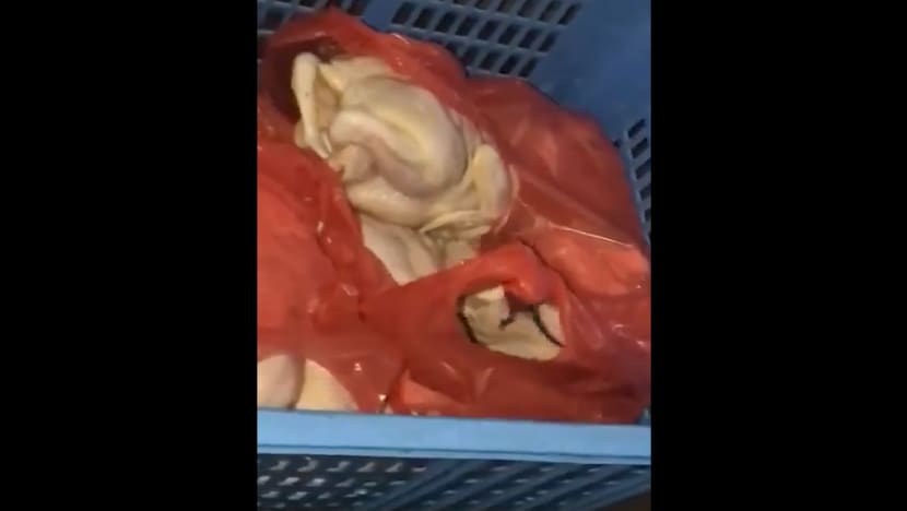 Patrons of Toa Payoh coffee shop unfazed, as town is embroiled in second viral rat video