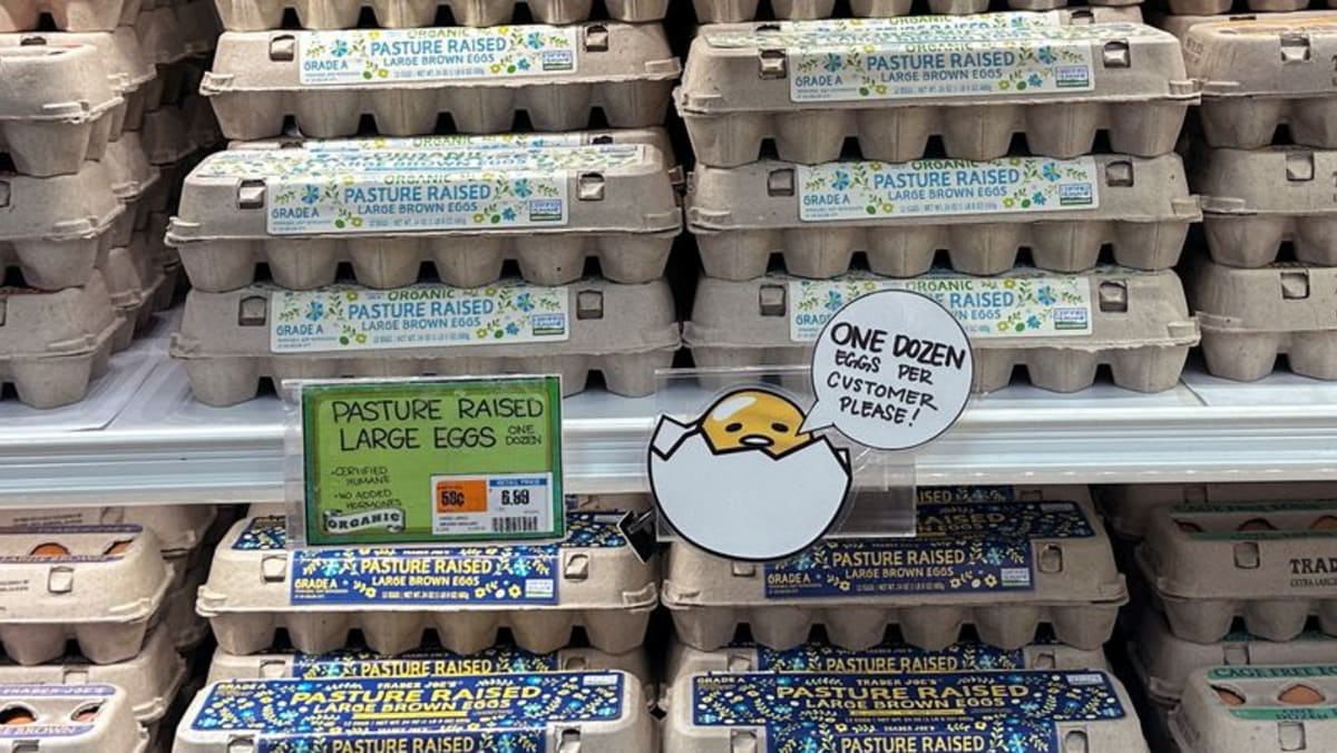 United States imports eggs from Korea, Türkiye to help ease prices