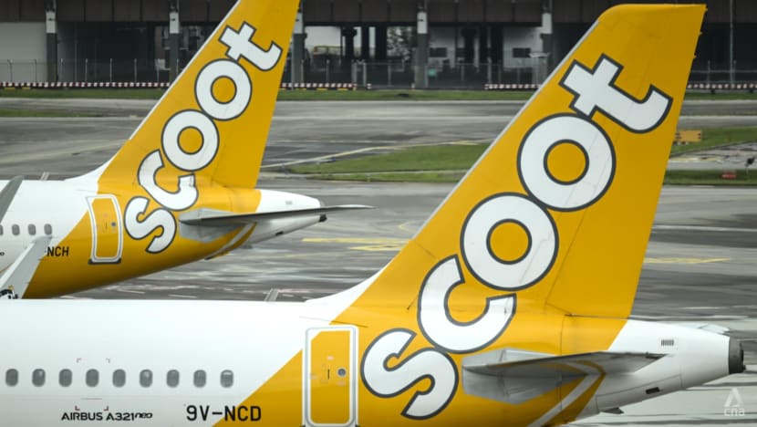 Man jailed for stealing valuables from overhead compartment on Scoot flight