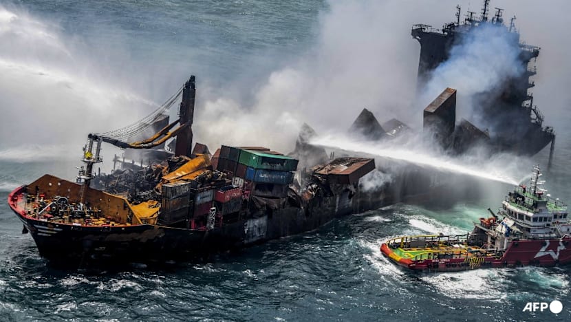 Polluting Singapore ship's agent pays token damages to Sri Lanka