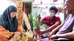 Related article image