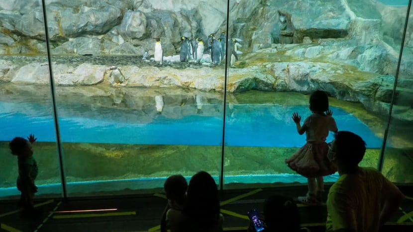 About 1.9 million Singaporeans have used SingapoRediscovers Vouchers at least once, S$300m spent as of Dec 31 