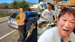 Related article image