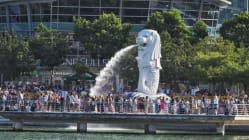Related article image
