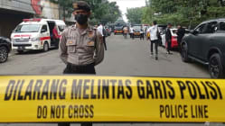 Related article image