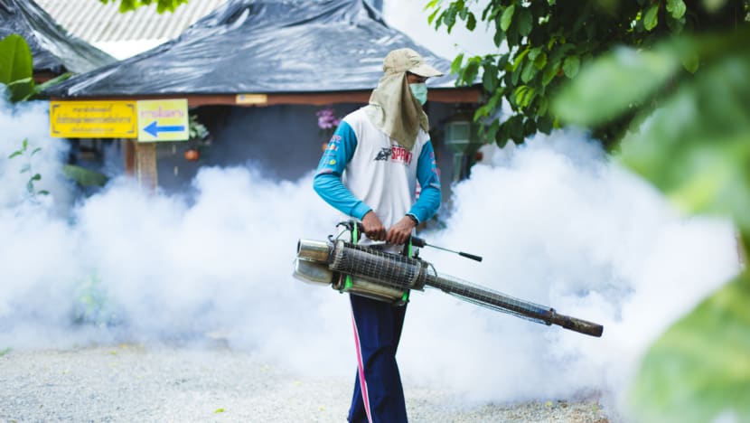 'We can defeat malaria': Chief of Asia-Pacific alliance on mosquito-borne disease