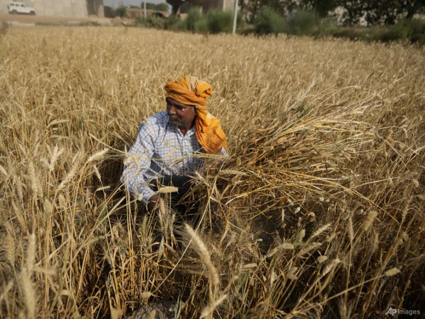 Commentary: How much does India's wheat export ban threaten global food supplies?