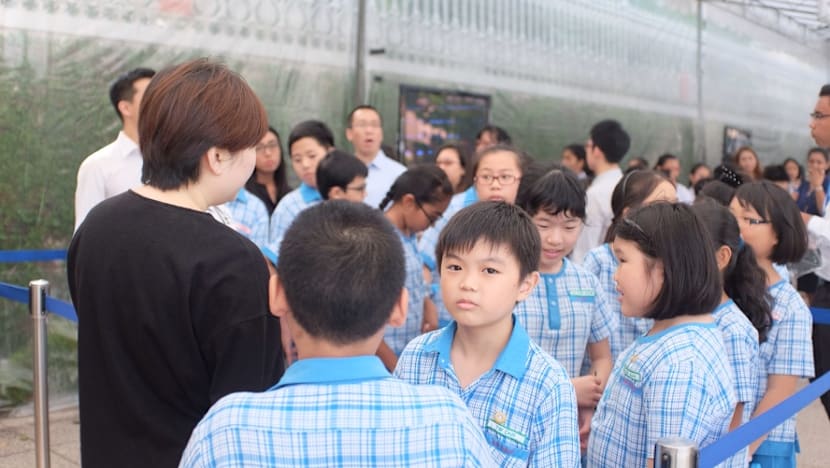 Young and old bid goodbye to S R Nathan