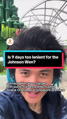 The barricade jumper was given 9 days of jail for public nuisance #8dayssg #8dayssgtrending #arianagrande #wicked #fypsg 