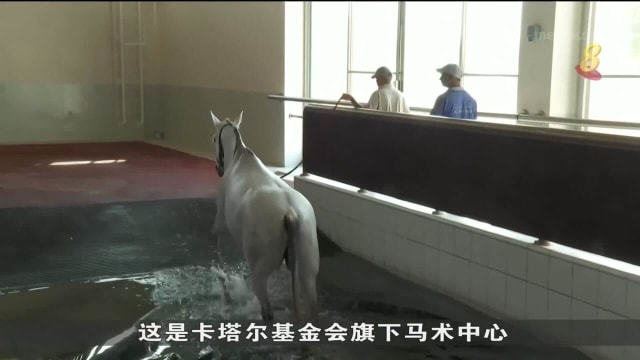 卡塔尔世界杯期间丰富多彩活动吸引百万球迷