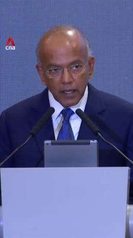  Singapore actively dealing with ongoing cyberattack by UNC3886 group: Shanmugam