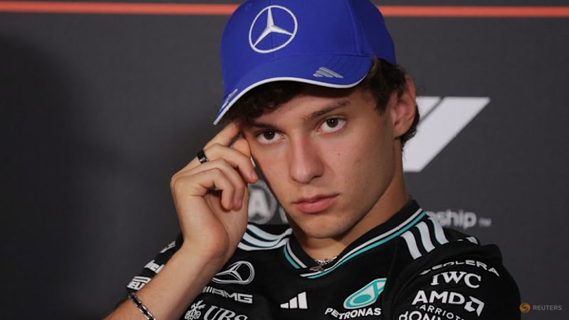 Antonelli understands Wolff's criticism