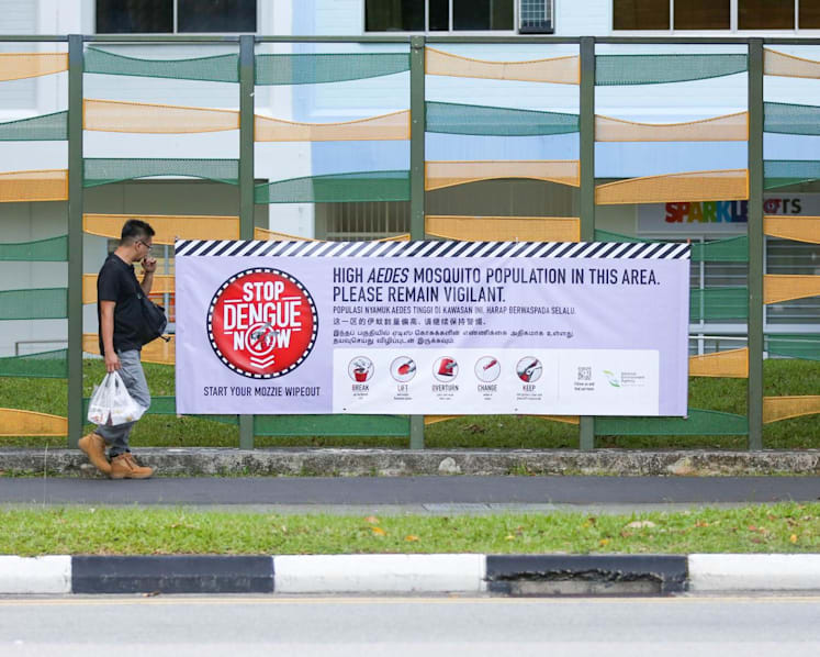 Weekly dengue cases fall below 600 in September, but continued vigilance is critical: NEA