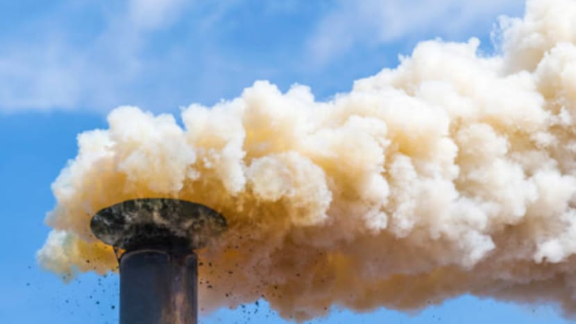 1 maut, 20 masuk hospital terhidu gas beracun di India