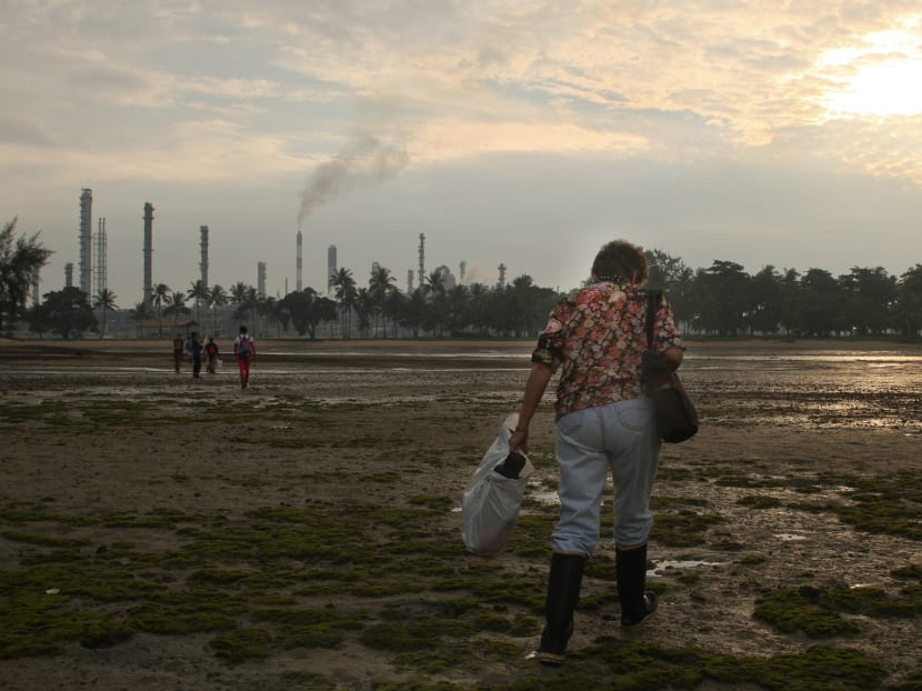 Searching the coast for marine life