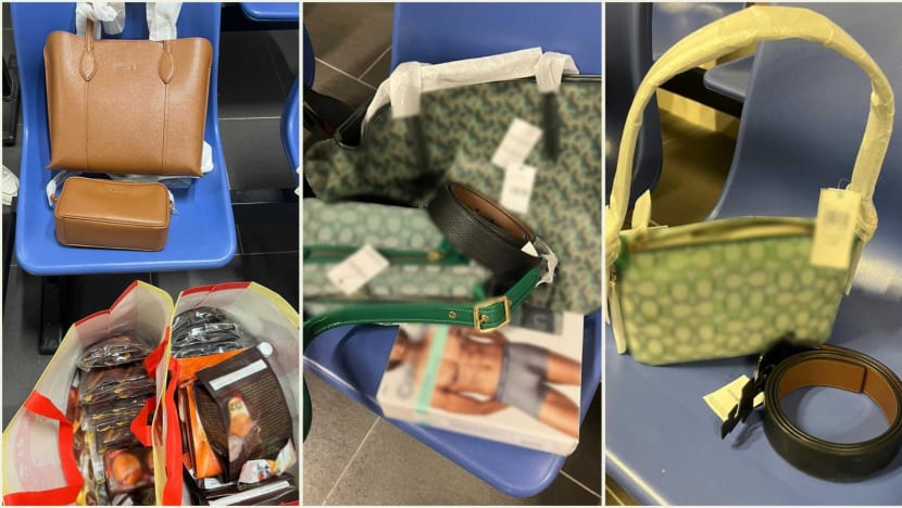 Over 4,600 cases of duty and GST evasion at Singapore land checkpoints in first 10 months of 2023 Over 4,600 cases of duty and GST evasion at Singapore land checkpoints in first 10 months of 2023
