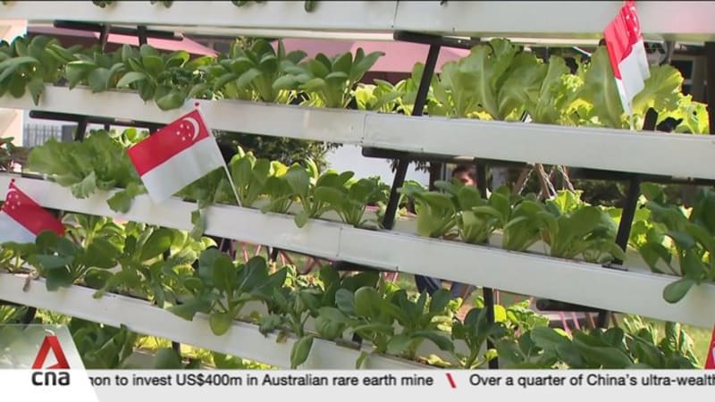 New Enabling Garden aims to create more varied job roles for persons with disabilities 