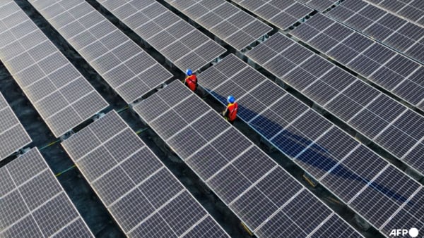 Commentary: Southeast Asia solar panel manufacturers are over-reliant on American demand - Channel News Asia (Picture 2)