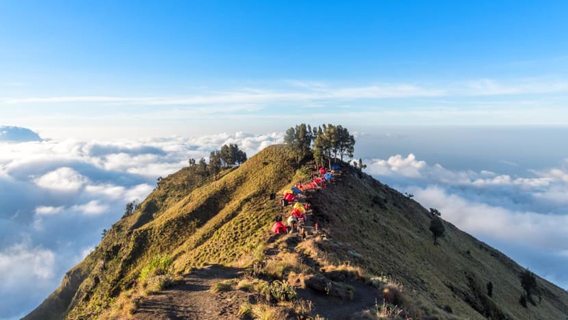 FOMO mendaki gunung? Menhut dan Agam Rinjani peringatkan tak sama dengan healing ke mal FOMO mendaki gunung? Menhut dan Agam Rinjani peringatkan tak sama dengan healing ke mal