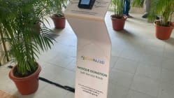 Related article image