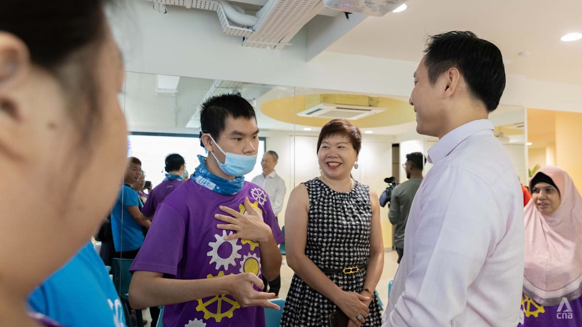 channelnewsasia.com - Charmaine Jacob - Inter-agency task force proposes fee caps for all disability services, more families to receive subsidies