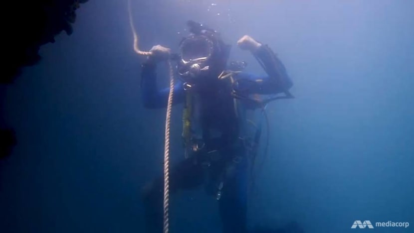 For a pay packet, they risk drowning, crocodile attacks and being hit by ships For a pay packet, they risk drowning, crocodile attacks and being hit by ships