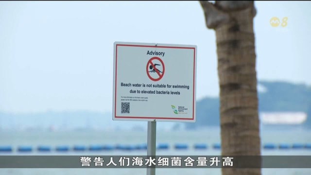 白沙公园和三巴旺公园水质不佳 对公众出海兴致影响有限