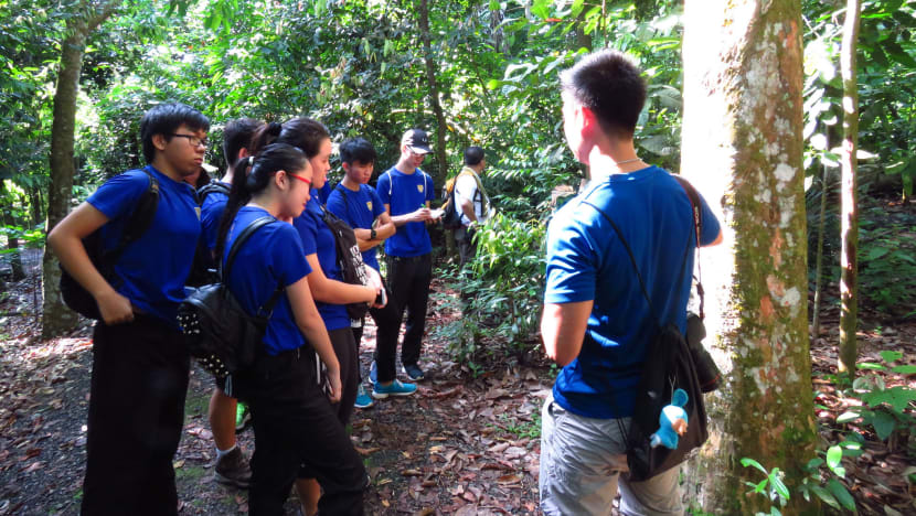 Young people ‘the best hope’ for nature conservation