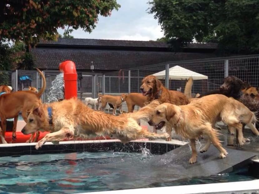 Photo: Sunny Heights Day Care Centre/Facebook