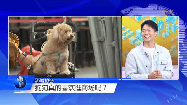 狮城有约 | 亲宠物商场渐成趋势 空间如何平衡共处？