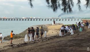 Growing numbers of volunteers tackle trash on Singapore's beaches