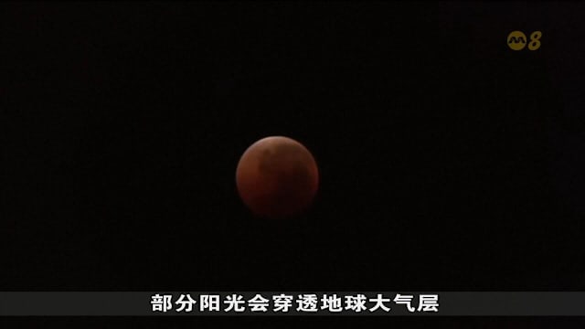 全球多地迎来罕见血月 吸引天文爱好者前往最佳地点赏月