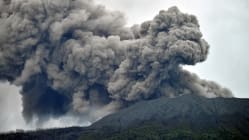 Related article image
