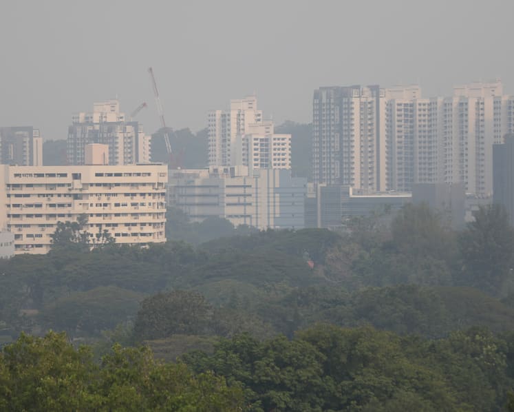 As PSI rises, so do delivery orders for food, N95 masks and air purifiers