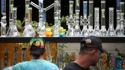 Related article image
