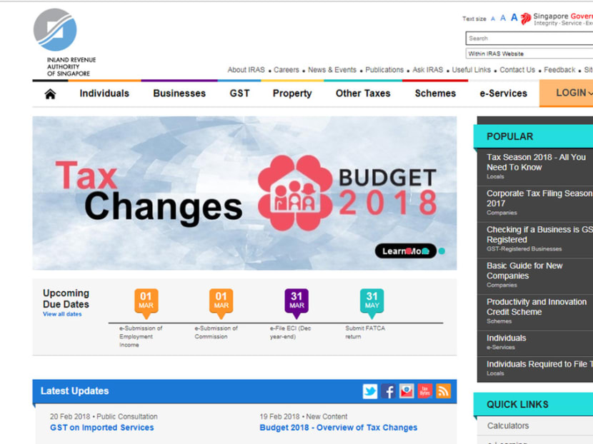 IRAS’ consultation paper on GST for e-services and apps lists newspaper subscription, e-books, gaming, and music among items that could be liable for tax. Screenshot taken from IRAS website