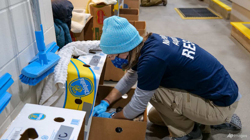When turtles fly: Cold-stunned animals nursed in Mississippi When turtles fly: Cold-stunned animals nursed in Mississippi