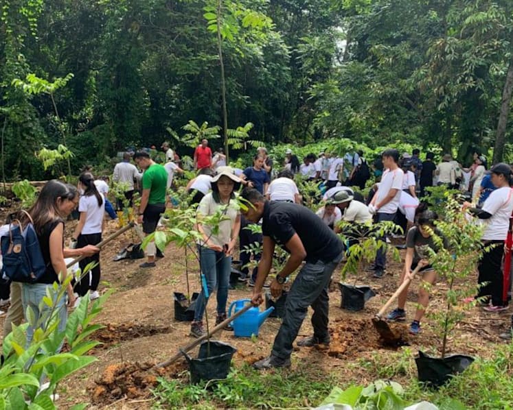 Singapore to plant 1 million trees over the next 10 years