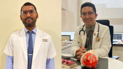 Related article image