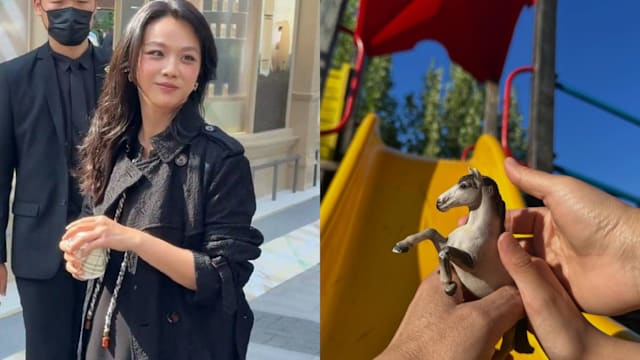 发文证实怀二胎，汤唯：家里要多匹小马驹了