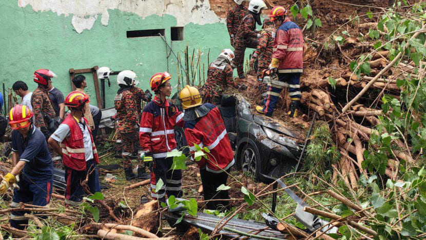 2 tourists from China die after tree falls on car at Penang attraction 2 tourists from China die after tree falls on car at Penang attraction