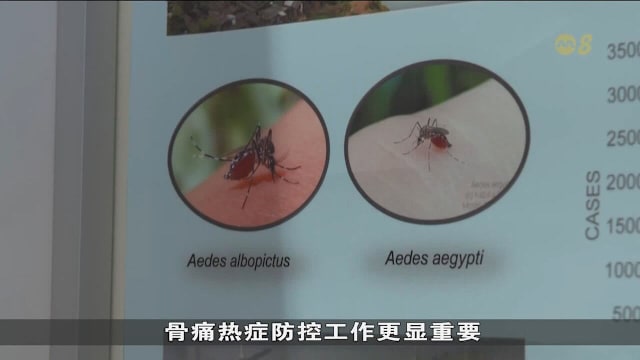 普杰立：厄尔尼诺将至 骨痛热症防控更显重要