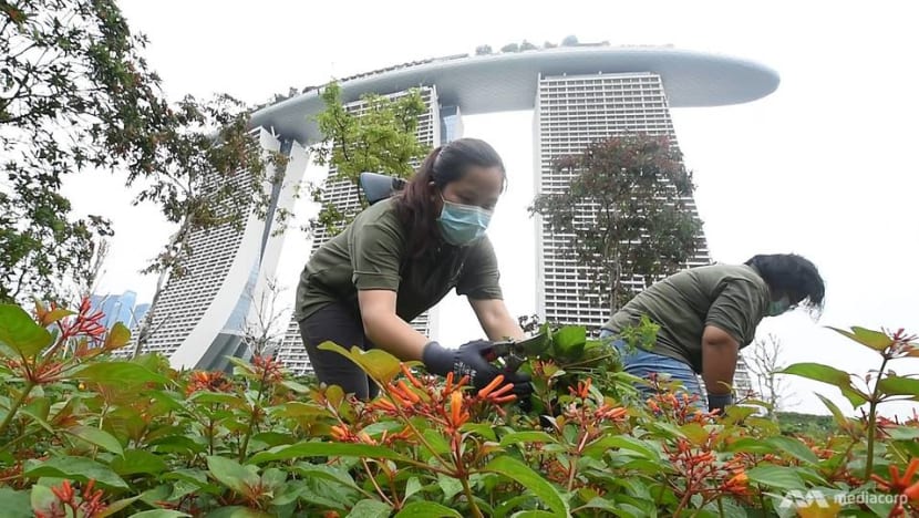 Going the extra mile to keep Gardens by the Bay neat and tidy during the COVID-19 circuit breaker