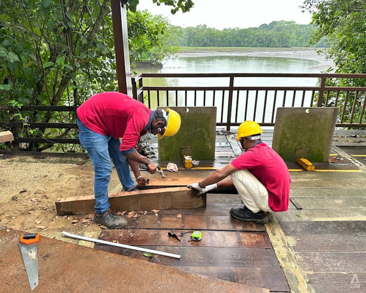 Repair work complete after man and daughter fell into hole in bridge at Sungei Buloh Wetland Reserve