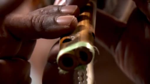 சிங்கப்பூரின் கடைசி பாம்பாட்டி
