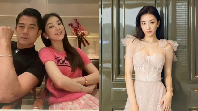 方媛自拍视频外流　鼻翼疤痕掀热议