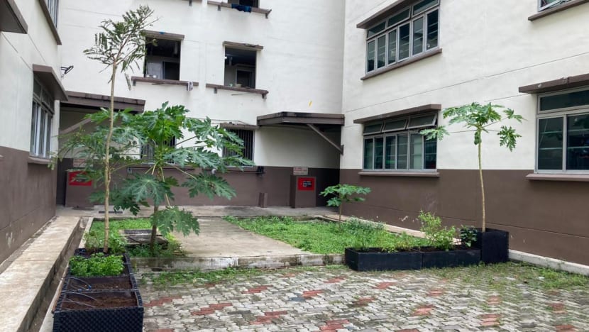 Edible garden in pre-schools, migrant worker domitories among 42 eco projects to receive funding